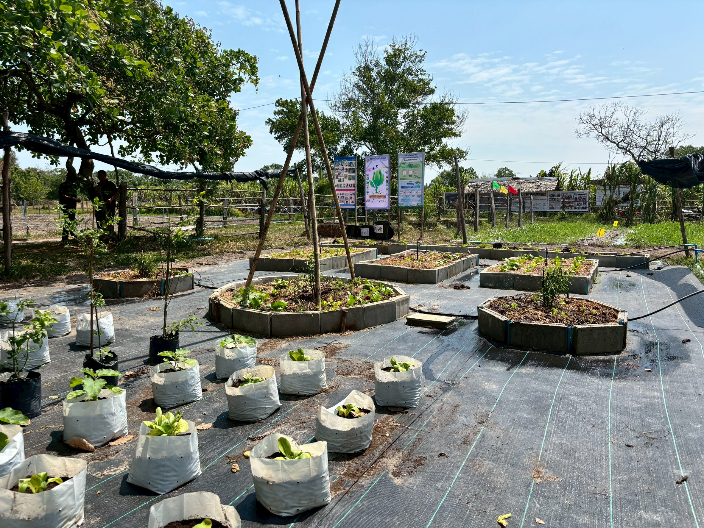 title - ผู้ตรวจราชการ ส.ป.ก. ลงพื้นที่ตรวจราชการ ร่วมกับ ผู้ตรวจราชการกระทรวงเกษตรและสหกรณ์ ณ กลุ่มวิสาหกิจชุมชนแปรรูปผลิตภัณฑ์กระจูดรายา จังหวัดนราธิวาส